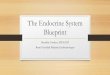 The Endocrine System Blueprint - NCAPAncapa.org/wp-content/uploads/2017/02/Endocrine-Review_PT.-1.pdf · The Endocrine System Blueprint Brunilda Cordero, ... Management of thyroid