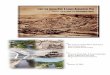 Swanson Hydrology & Geomorphology Study/SLR_proj.pdfSwanson Hydrology & Geomorphology Lower San Lorenzo River & Lagoon Management Plan Page v Hydrology / Geomorphology / Restoration