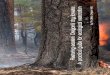 Restoring eastern Oregon’s dry forests: A practical guide for ecological restoration · 2014-05-08 · A practical guide for ecological restoration ... and sh and wildlife habitat