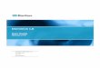 Dominion LX - Raritan Inc.· Dominion LX User Guide Release 2 ... LX Overview ... 202 Configuring