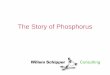 The Story of Phosphorus - EuCheMS · Philosopher’s Stone . stumbling onto phosphorus …by boiling his own . urine with charcoal! Waste Water Treatment Plant PO accumulates P 4,