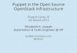 Puppet in the Open Source OpenStack Infrastructure in the Open Source OpenStack Infrastructure Puppet Camp SF 24 March 2015 ... Jenkins: . Elizabeth K. Joseph