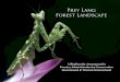 Prey Lang Forest Landscape - Winrock · Prey Lang Forest Landscape ... All text contained within this report remains copyright of Conservation International ... pitcher plant Nepenthes