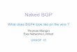 What does BGP4 look like on the wire - uknof.org.uk · Naked BGP What does BGP4 look like on the wire ? Thomas Mangin Exa Networks Limited UKNOF 15. Who reads RFCs ? ... RFC 3107