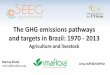 The GHG emissions pathways and targets in Brazil: 1970 - … · The GHG emissions pathways and targets in Brazil: 1970 - 2013 ... Fermantation 56% AGRICULTURE and ... Milk cattle