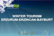 WINTER TOURISM ERZURUM-ERZİNCAN-BAYBURT · 55 % of Turkey’s floor area takes part in 1500-3000 m height zone. TOURISM. Regions Of Winter Tourism In Turkey TOURISM. ... Snowboard