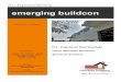 emerging buildcon - Bizzporto.com · With STAAD PRO and Design Software ... 7 Anchor Bolts ASTM A36N ... expert turnkey Steel building solutions that blend design , emerging buildcon