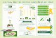 LIFTING THE LID ON THE GOODNESS OF MILO - Nestle infographic... · MILO infographic lifting lid FINAL_V3 Created Date: 9/20/2013 5:34:55 PM 
