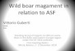 Wild boar magament in relation to ASF Vittorio Guberti ...web.oie.int/RR-Europe/eng/Regprog/docs/docs/SGE1 - Expert... · Wild boar magament in relation to ASF ... high •Feasibility: