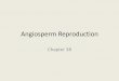 Meiosis and Sexual Life Cycles (Ch. 13) - MCCCblinderl/documents/AngiospermReproductionstudent… · 1. Sepal 2. Petal Reproductive organs 3. ... Development of a male gametophyte