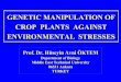GENETIC MANIPULATION OF CROP PLANTS AGAINST …plantbiotech.metu.edu.tr/plantbiotech/BTECH704/stressders.pdf · genetic manipulation of crop plants against environmental stresses