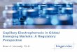 Capillary Electrophoresis in Global Emerging Markets: …c.ymcdn.com/sites/casss.site-ym.com/resource/resmgr/CE_Pharm...manufacturing process, ... From ASEAN Guideline on Analytical
