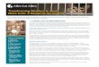 Transforming Shelters to Save More Cats: A Blueprint for ...4fi8v2446i0sw2rpq2a3fg51-wpengine.netdna-ssl.com/wp-content/... · Transforming Shelters to Save More Cats: A Blueprint