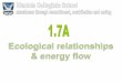 Ecological relationships and energy flow - Weeblygcsbio.weebly.com/.../5/3/2/5/5325438/1.7_ecology_booklet_a_ppt.pdf · respiration, excretion and egestion and ... The transfer of