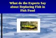 What do the Experts Say about Replacing Fish in Fish Food didn’t taste much like their wild counter parts Water Quality Feed Efficiency . BASIC NUTRITION “Series of processes by