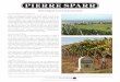 VINEYARDS AND VITICULTURE - … · VINEYARDS AND VITICULTURE ... the long, slow maturation of the grapes. A mosaic of terroirs exists, ... harvesting by hand — to