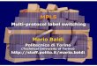 Multi-protocol label switchingMulti-protocol label switching · Multi-protocol label switchingMulti-protocol label switching ... “Multiprotocol Label Switching ... “Multi-Protocol