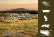 Invasive Weed Field Guide for the Las Vegas Wash · Eckberg, Tim Ricks, Charles Sutton, Eric Loomis, Caroline Baker, Dave Silverman and Twin Translations Thank you for your support