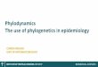 Phylodynamics The use of phylogenetics in … use of phylogenetics in epidemiology ... Demographic information ... Whole genome phylodynamics The use of phylogenetics in epidemiology