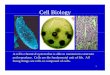 Cell BiologyCell Biology - Nicholls State University Biology.pdf- all cells of plants, animals, fungi and protists 2 fungi, ... Secretory vesicles - used for excretion-the cell, or