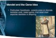 Mendel and the Gene Idea - Brown Biology · Mendel and the Gene Idea • Particulate Hypothesis- parents pass on discrete heritable units, called genes, that retain their separate