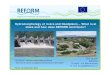 Hydromorphology of rivers and floodplains – What is at ...· Hydromorphology of rivers and floodplains