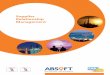 Supplier Relationship Management - Absoft Absoft Briefing Paper Supplier relationship management concerns