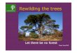 Rewilding the trees - Ecovillage Findhorn · Rewilding the trees Let there be no forest Photo Ted Green . ... The succession theory of Clements (1916): if man stops disturbing nature,