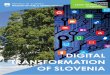 DIGITAL TRANSFORMATION OF SLOVENIA - mju.gov.si · in Slovenian countryside (according to DESI 2016), the Government of the Republic of Slovenia adopted the “Next-Generation Broadband
