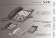Multibutton Telephone User Guide - necdsx.com · Setting Up Your Telephone A Quick Tour of Your Telephone Answering and Placing Calls ... replacement DESI label. 2. Press down on