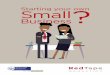Starting your own Small - Western Cape · Introduction Starting your own business can be very difficult, challenging and frustrating, with many risks involved. However, it can also
