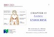 Ch13 ENDOCRINE; Dr. L. Altman - lawrenceGaltman.com 212 Lectures... · CHAPTER 13 Lecture: ENDOCRINE HUMAN ANATOMY & PHYSIOLOGY II ... 11 receptor sites ... HORMONES and their TARGET