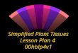 [PPT]Plant Tissues - Kirkwood Community College · Web viewSimplified Plant Tissues Lesson Plan 4 00hblp4v1 Fibers A cluster of many fiber cells make up a fiber Fibers Cortex Xylem