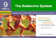 The Endocrine System - Plainfield South High Schoolpshs.psd202.org/documents/bzetterg/1516110979.pdf · ELAINE N. MARIEB EIGHTH EDITION 9 Copyright © 2006 Pearson Education, Inc.,