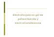Electroforesis en gel de poliacrilamida y electrotransferenciainnovaciondocente.unizar.es/convocatorias2011/documentos... · INDICE ELECTROFORESIS Fundamento y características Tipos