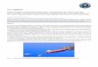 OTC-19866-PP LNG Transfer in Harsh Environments ... · 2 OTC-19866-PP Introduction Motivation Market developments show an increasing demand for marine LNG transportation from the