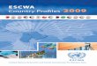 ESCWA Country Profiles 2009 - United Nations Economic … · 2017-03-09 · GDI Gender-related development index GDP ... at  Saudi Arabia ... 2 ESCWA Country Profiles 2009