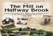 Memoirs from Eldred, New York, 1800–1950 The Mill on ...halfwaybrook.com/wp-content/pdf/HalfwayBrookLookInside.pdf · Memoirs from Eldred, New York, 1800–1950 ... The Mill on