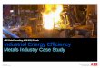 ABB Global Consulting, APW 2011, Orlando Industrial Energy ... · ABB Global Consulting, APW 2011, Orlando Industrial Energy Efficiency Metals Industry Case Study. ... an audit”