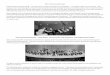 MIT Orchestra Memories Carmina Burana by Carl Orff - I’ve ...1964.alumclass.mit.edu/s/1314/images/gid55/editor_documents/... · MIT Orchestra Memories Carmina Burana by Carl Orff