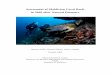 The Recovery of the Maldivian Reefs after Natural Disasters of Maldivian Coral Reefs in 2009 after Natural Disasters ... G. xxx and the crew of M.V ... recovery of the reefs and for