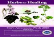 Herbs for Healing - herbs.org.nz · Herbs for Healing Herb Awareness Week 2018 Herb Federation of New Zealand Marshmallow (Althaea officinalis) Contact your local Herb Group for …