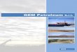 GEM Petroleum S.r.l. - infotecsistemi.it Petroleum S.r.l. Brochure.pdf · Petroleum S.r.l . 00183 Roma - Via ... Oil & Gas Exploration and Production Services ... Bruno graduated