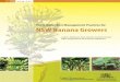 Soil and water best management practices for NSW banana ... · soil & water best management Practices for nsw banana growers . ... The NSW banana industry is ... Soil and water best