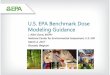 U.S. EPA Benchmark Dose Modeling Guidance · U.S. EPA Benchmark Dose Modeling Guidance J. Allen Davis, ... level for dichotomous data. ... (user input used to define BMR)