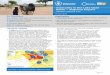 Insecurity in the Lake Chad Basin Regional Impactdocuments.wfp.org/stellent/groups/public/documents/ep/...Kauwa, Kala Balge, Ngala and Kaga. KIs reported that there is restricted movement