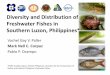 Diversity and Distribution of Freshwater Fishes in ... and... · Diversity and Distribution of Freshwater Fishes in ... Native and Endemic Philippine Freshwater Fishes ... Native