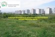 EUROPEAN ASSOCIATION OF METROPOLITAN AND … · INTERREG IIC MÉTROPOLISATION 2000 2001 CENSUS, TYPOLOGY and ROLE of the peri-urban natural spaces in the planning and the policies