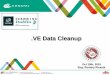 VE Data Cleanup - ICANN Data Cleanup Oct 19th, 2015 Eng. Rumary Ricaute Topics .ve Timeline. .ve Structure. Main Processes. Migration and Updates. Statistics. Results 