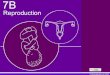 [PPT]No Slide Title - WikispacesReproduction.ppt · Web viewHuman Reproduction Humans use sexual reproduction to produce their young. In order to do this the two parents have to have